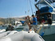 Whites Catalina 2005 04638.JPG: 2005/07/25 - Catalina - 2005